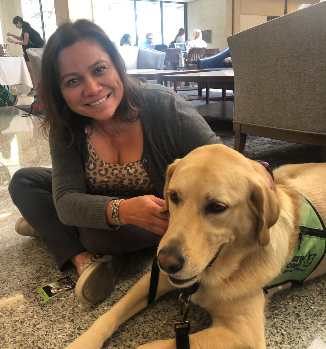 nellacespedes's tweet photo. Doggies at #texaslaw for mental health day. It’s a lot easier to study when you can cuddle with a furry friend 🥰🐶❤️ #longhornlawyer https://t.co/p6Ojpd4bOa