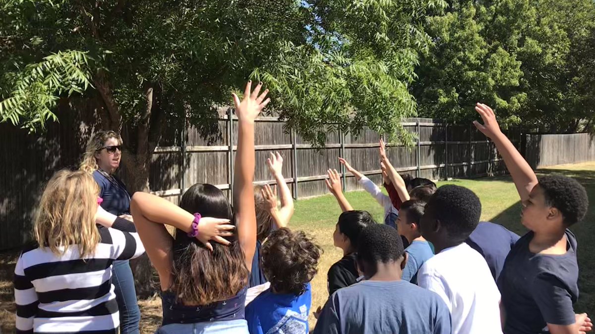 JCT_Ingram's tweet photo. Soaking in structures and functions during our nature walk! 🍃🍁🍂 #TigerPride #TESleads #WeAreGCISD #FourthGradeScience https://t.co/j1ImOl4Pyp