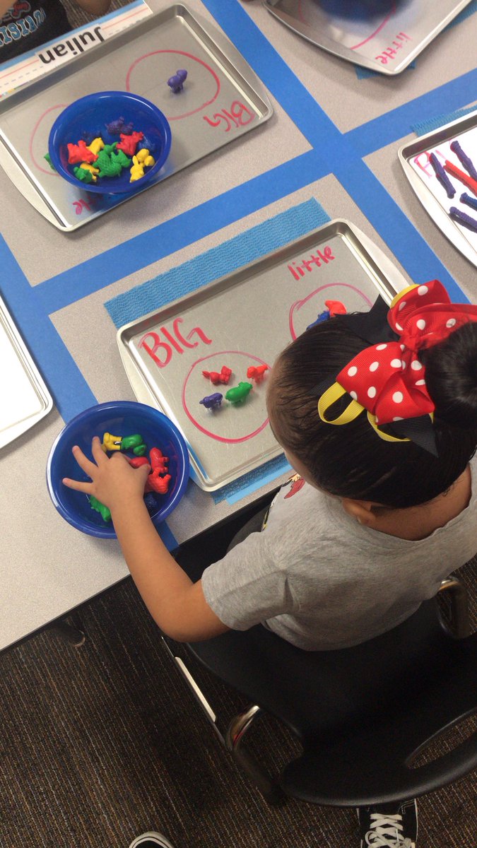 shill_PPCD's tweet photo. Having a blast as we learn to sort ! @FranconeElem #FalconsSoar https://t.co/OkuBGs6PvW