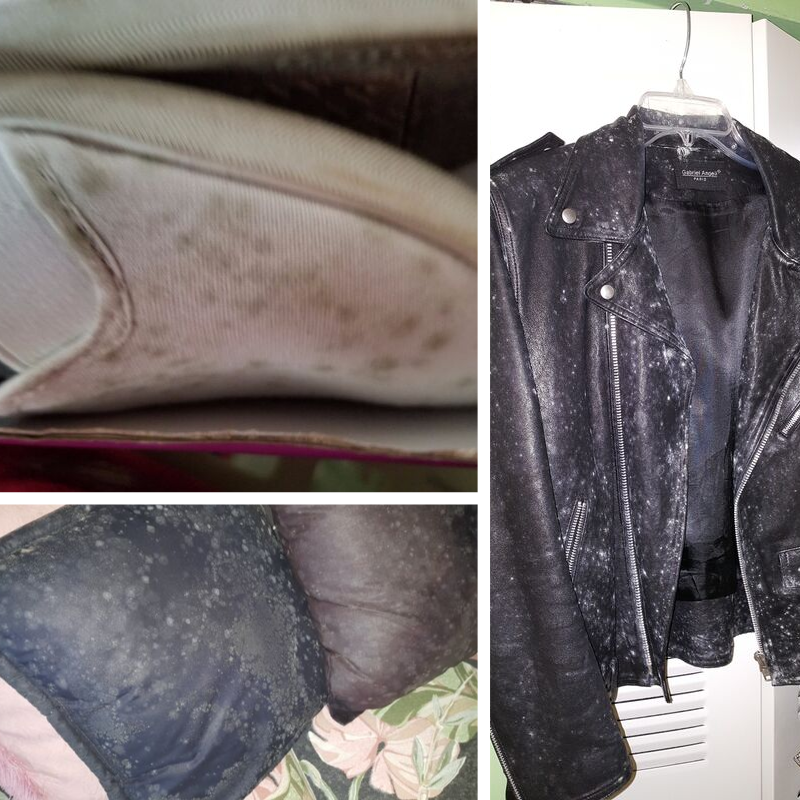 MrMoldInc's tweet photo. If you see signs of mold on clothing or household items, it could be due to several factors. First, fabrics are perfect for mold to grow because the organic material provides food for mold and allows it to retain moisture. 

#environmentalillness #blackmold #moldillnessrecovery https://t.co/NvybPrSILl