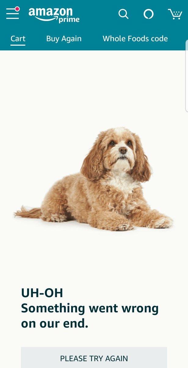 DylSell's tweet image. Are you kidding me @amazon this is adorable