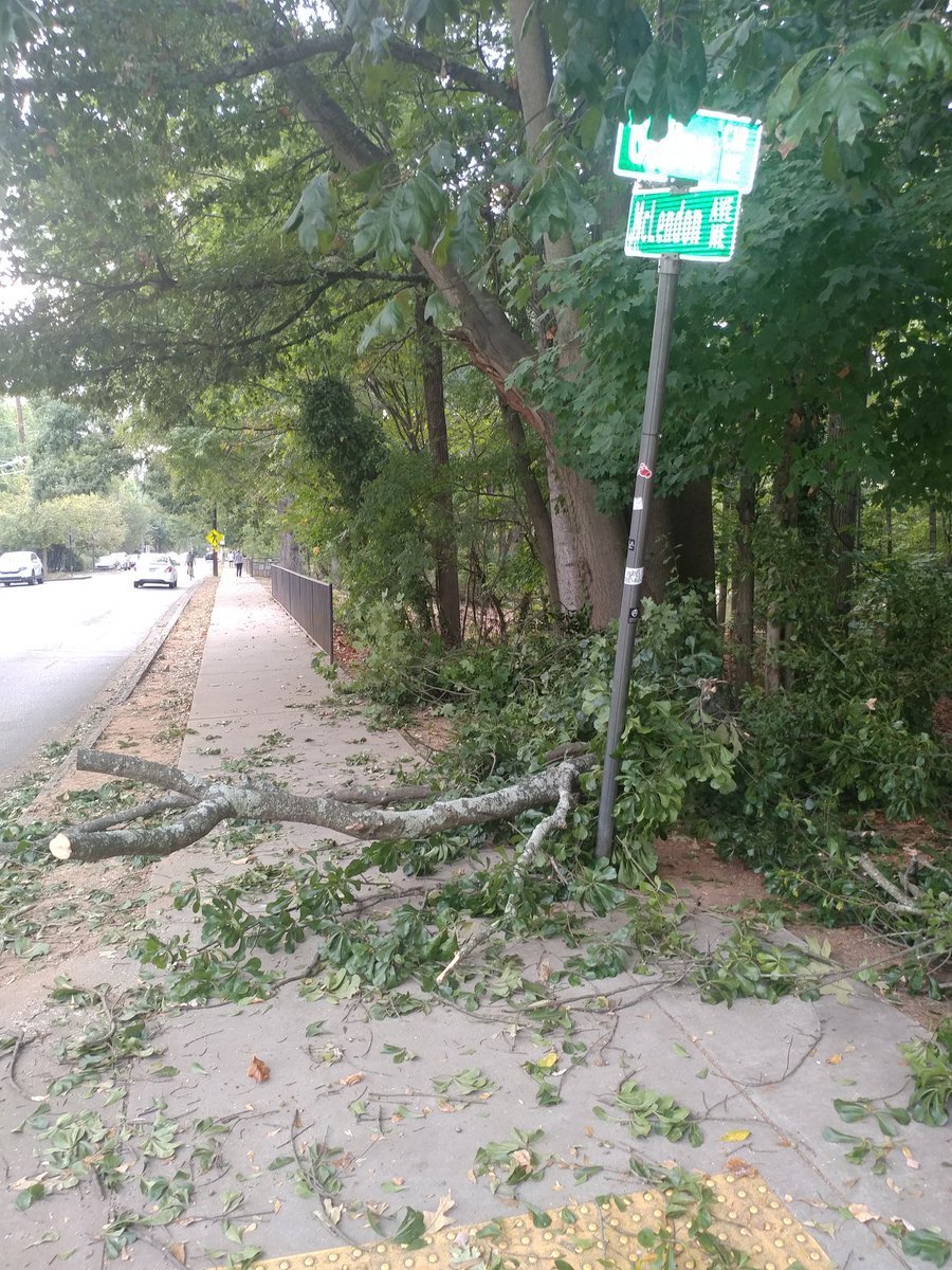 Grady Ultimate tweet media