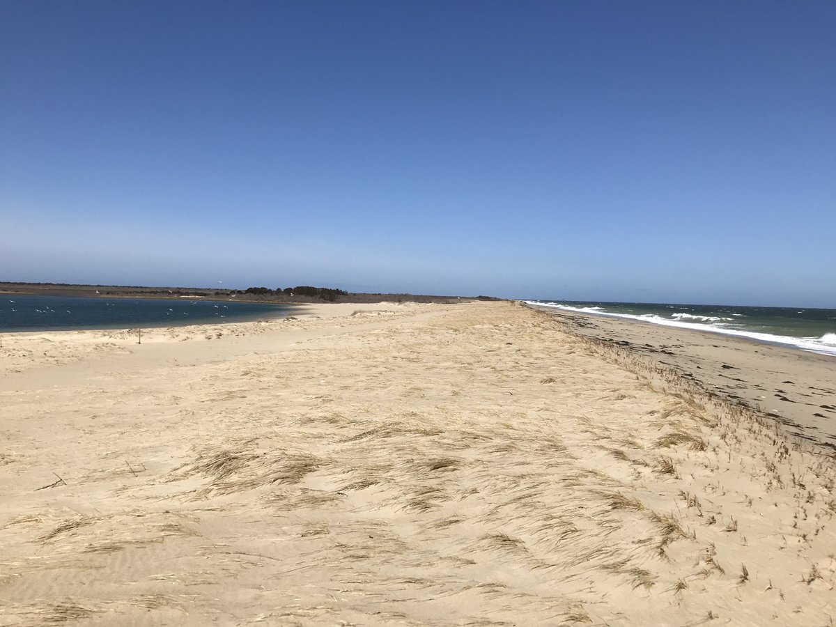 WalkNantucket's tweet photo. How long before the ocean permanently severs Great Point and Coatue from Nantucket at the east end of Coskata Pond? Hike Coskata with Nantucket Walkabout Tues. afternoon. to find out.= Book this hike at https://t.co/g5CwlfJ6CI. #coskatapond #ttor #peterbrace.com #sharethispost https://t.co/iYusvZsoVq