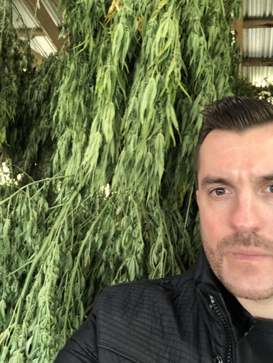 NVPolsinelli's tweet photo. A beautiful sight at @FarmOrganicNY. First hemp harvest. #partnership #nys #hemp #cbd #organic @Polsinelli_PA @RADSoap https://t.co/E938GIAcvx