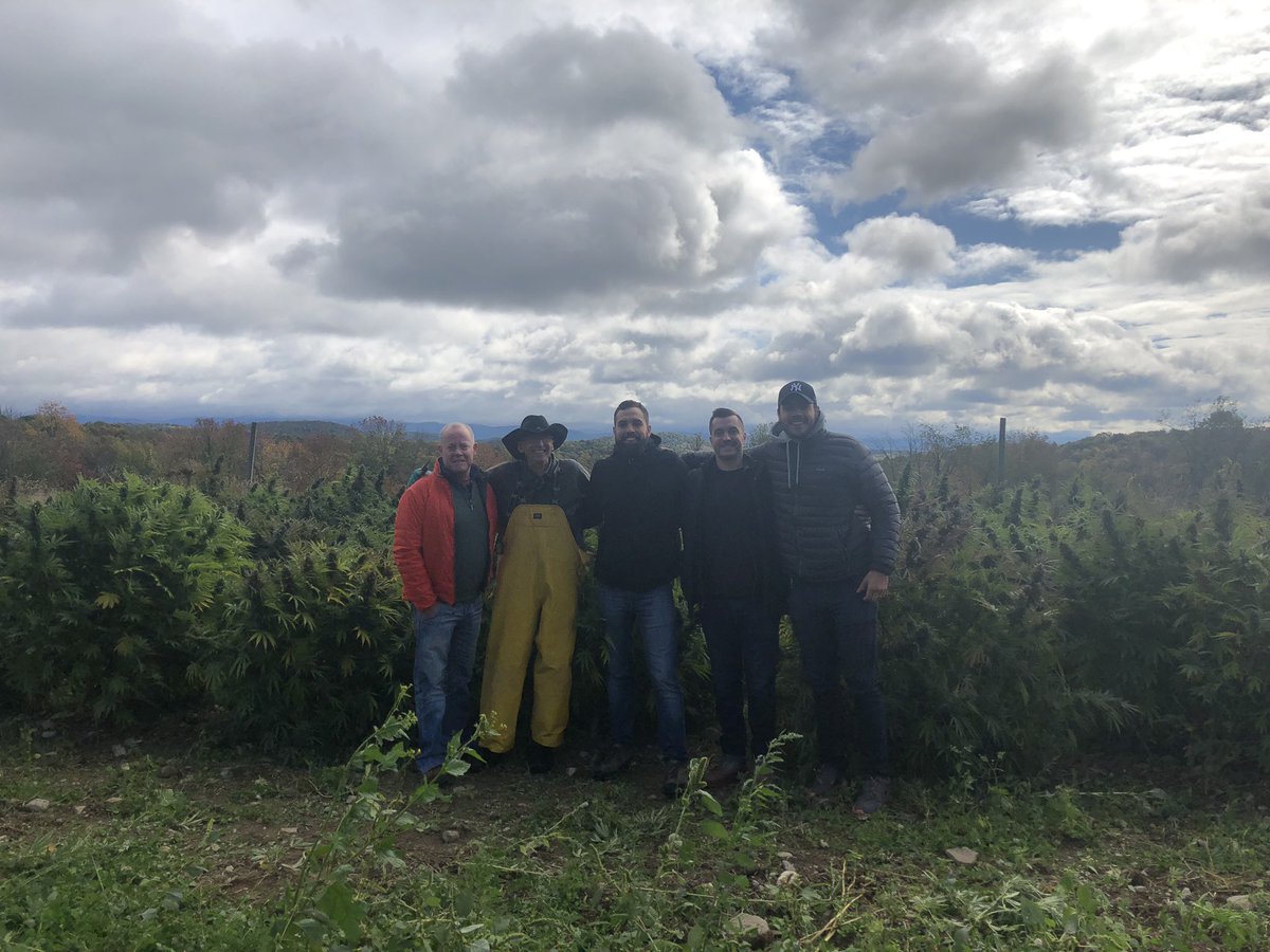 NVPolsinelli's tweet photo. A beautiful sight at @FarmOrganicNY. First hemp harvest. #partnership #nys #hemp #cbd #organic @Polsinelli_PA @RADSoap https://t.co/E938GIAcvx