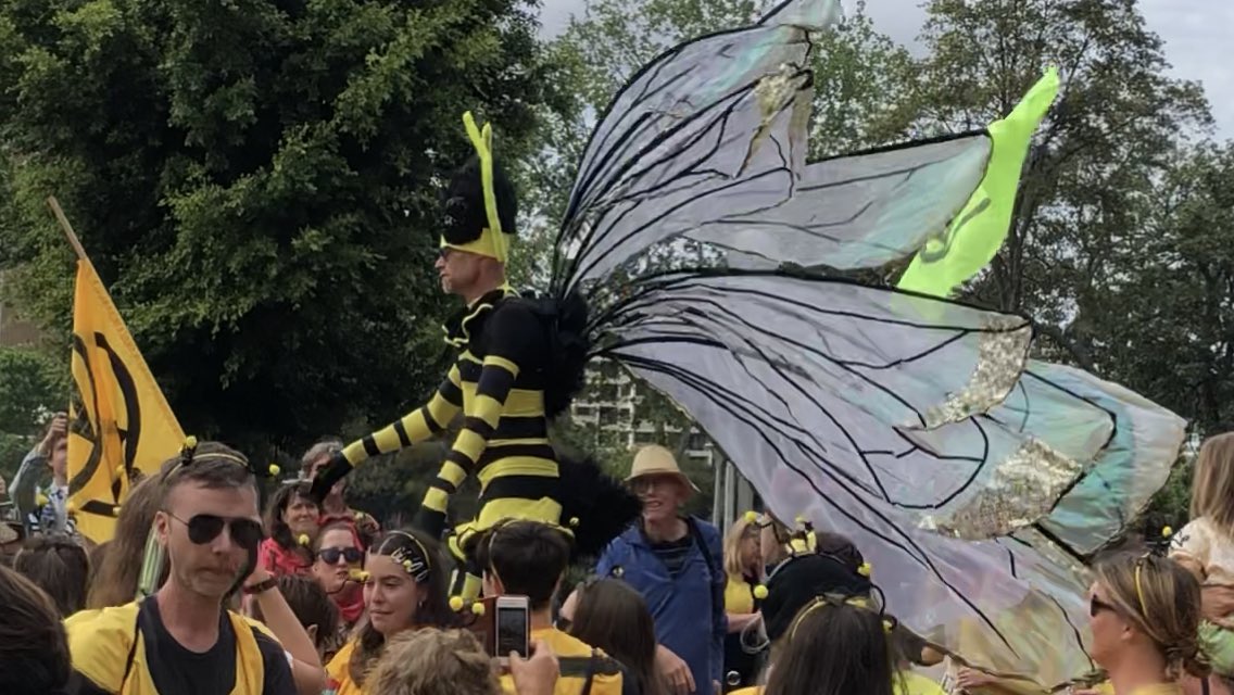 GreenLeftOnline's tweet image. Bee-mergency #SpringRebellion    day 2 Sydney #ExtinctionRebellion