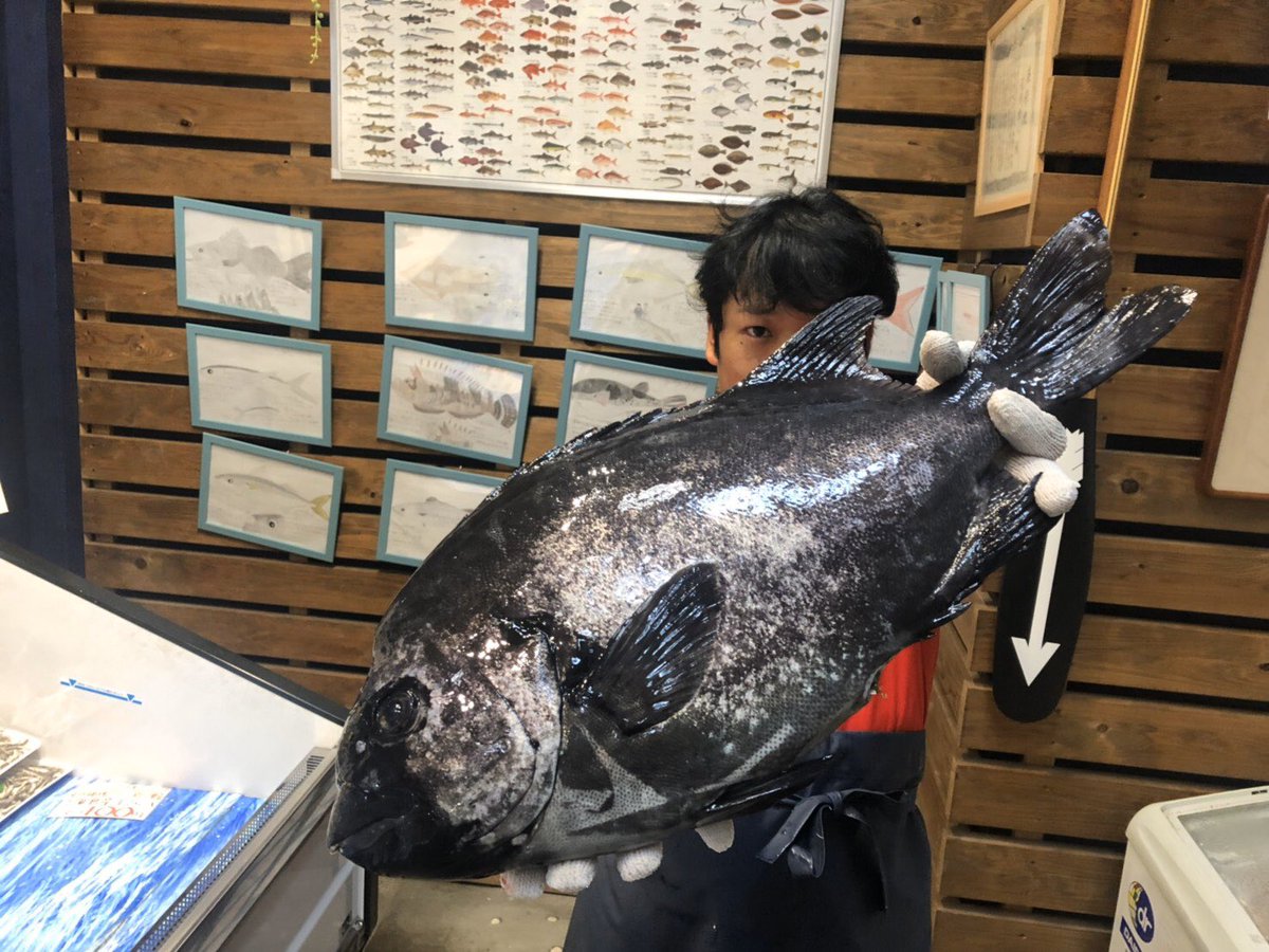 博多の魚屋さん おぎはら鮮魚店 Hakatanosakana Twitter