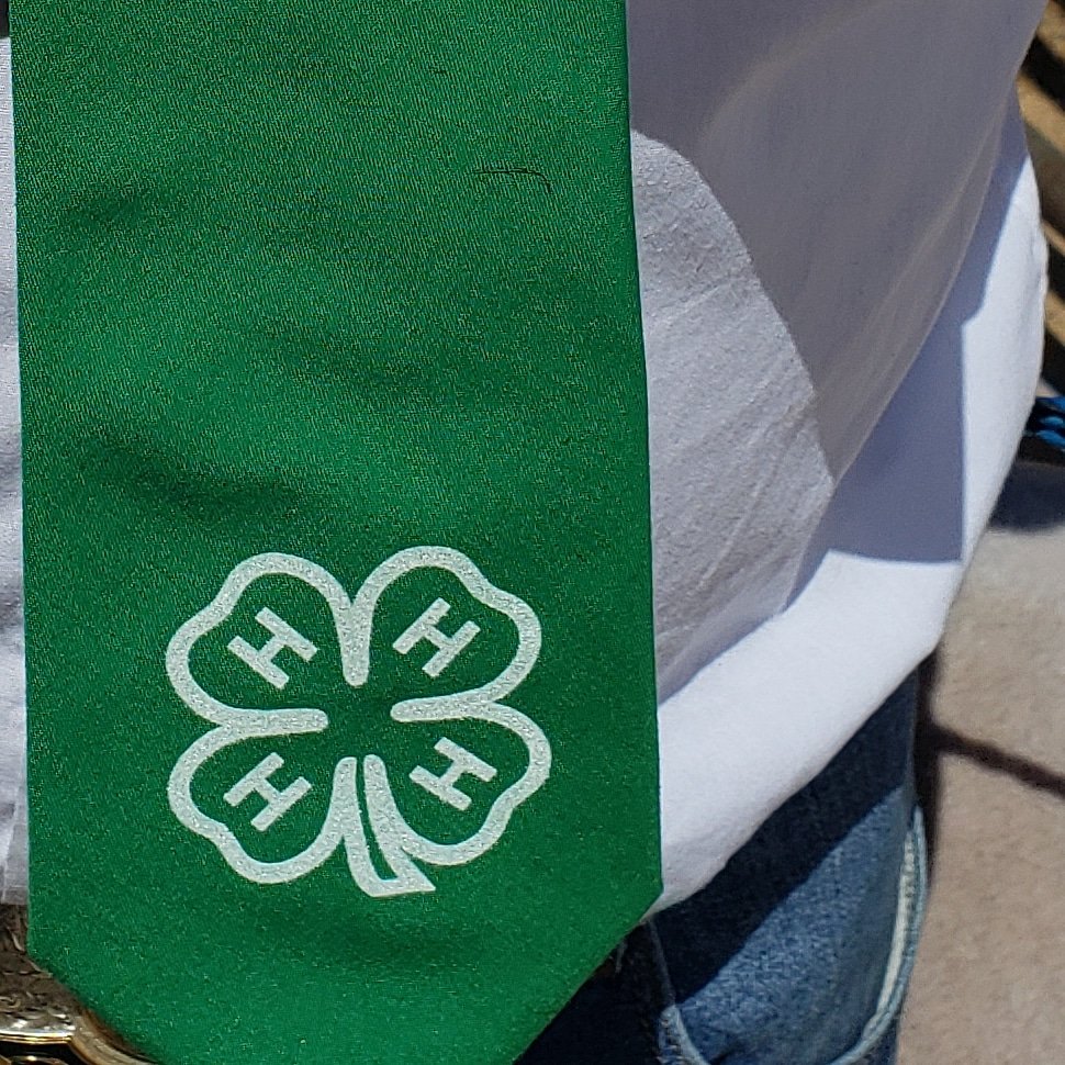 It's National 4-H week so we thought we'd give a shout out to all of the 4-H members that participate in our fair! #inspirekidstodo #ccfair