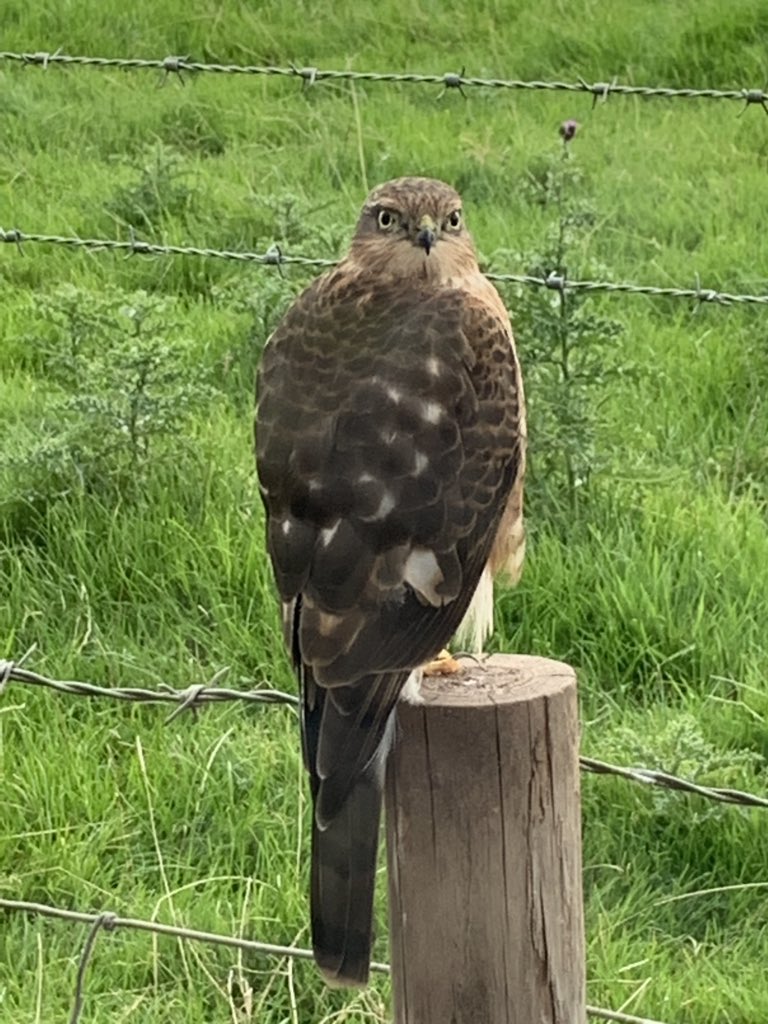 When you buy your bird or squirrel food from us, we can weigh it straight into your own storage containers. We have buckets in stock. 
Alternatively if you buy in our pre-packaged bags, return them to us, we will re-use them. 
A recent visitor at the shop.