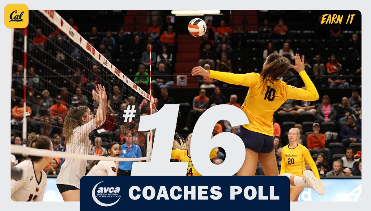Rising up to No. 1️⃣6️⃣ in this week's <a href="/AVCAVolleyball/">AVCA</a> poll!

Rankings ➡️ bit.ly/2AN7D5I

#GoBears 🐻 // #EarnIt // #OneDayBetter
