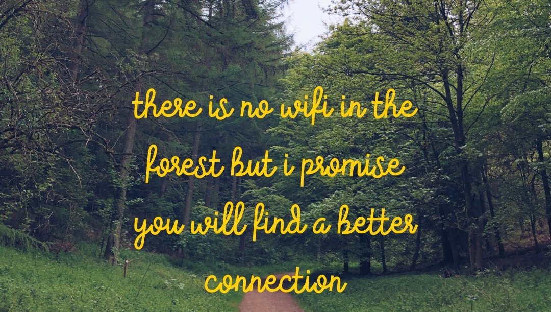 It's National Work-Life Balance Week. One way to help regain time is to have phone free time. With no WiFi or phone signal the forest is a great place to reconnect
#worklifebalance #forest #outdoors #nature #getoutside #mindfulness #goape #goapedalby #livelifeadventurously