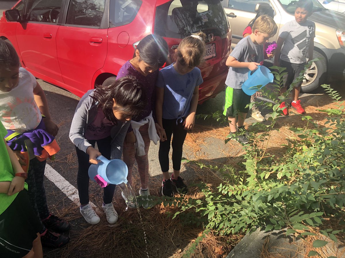 Jessica Idol tweet media