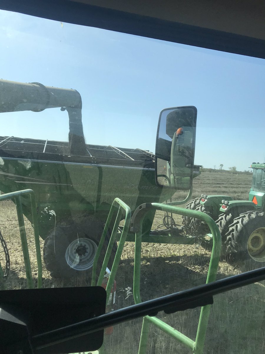 KnightSeeds's tweet image. Rains coming tomorrow at nine pm. Windy overnight forecast with the first test at 11.8.  Let's see if we can keep the wheels turnin until then. #harvest19