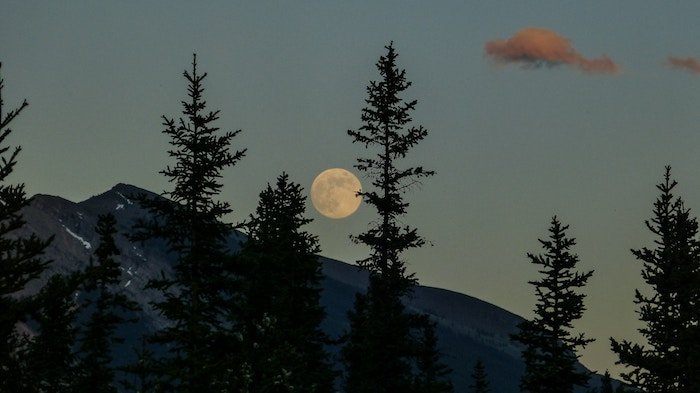 The full moon in Aries occurs next Sunday, October 13th! Check out my new post for full moon ritual ideas...
bit.ly/31VZwQn