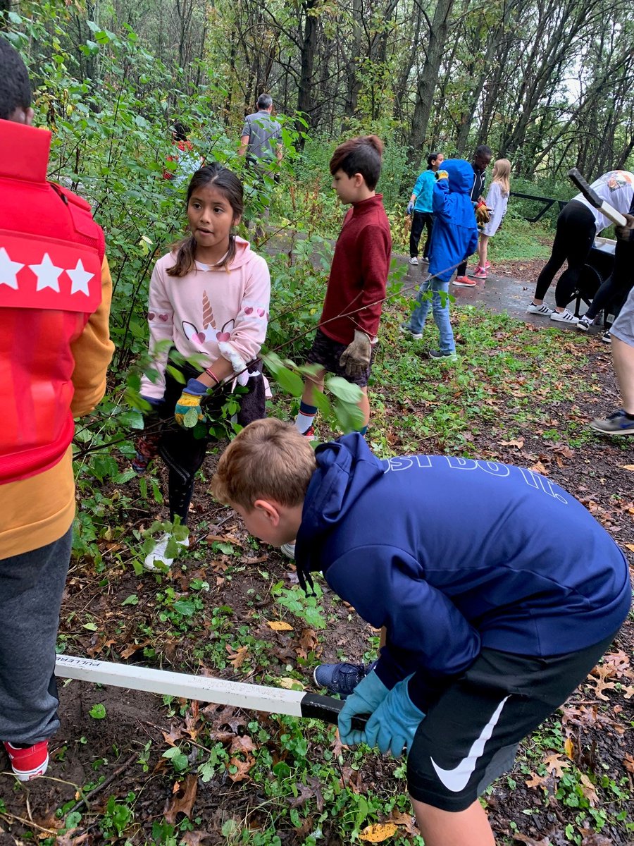 FridleyMSTigers's tweet photo. Our FMS 5th graders had an awesome time at #SpringbrookNatureCenter last week! Students pulled buckthorn, an invasive species, and learned about how genetic diversity and adaptive characteristics are important for species survival. #fieldtripfun #communitypartnerships https://t.co/071XkbXS61