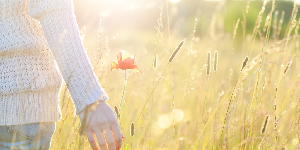 Neale Donald Walsch (@realndwalsch) on Twitter photo The soul always feels connected with the wonder of life, because the soul is the wonder of life, expressed. The soul always feels connected with the wonder of life, because the soul is the wonder of life, expressed.