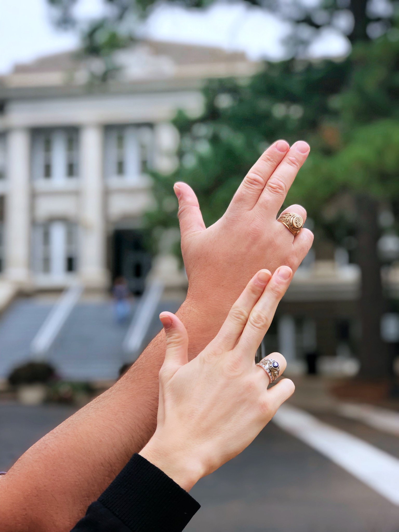 Sfasu ring hotsell