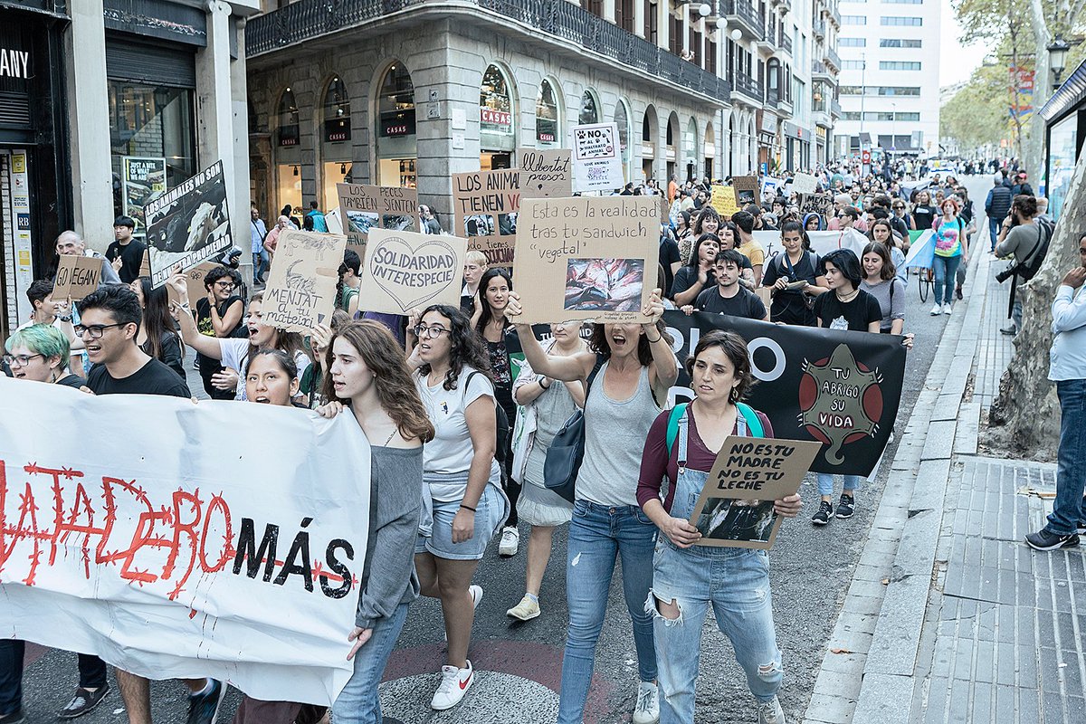 niunmataderomas's tweet photo. Todas las fotografías son de Candela Cuervo 
Su trabajo en https://t.co/qrbQTulE9A https://t.co/yZyGUNvQQR