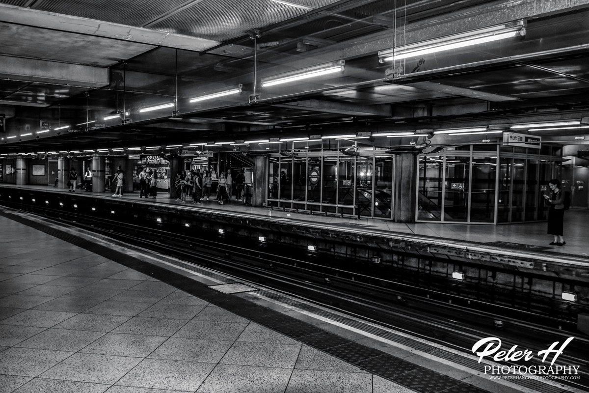 petephotographs's tweet photo. London Underground in black and white - May 2019.  #londonunderground #blackandwhitephotography #westminster #thetube #nikonphotography #transportphotography #theunderground #London #londonphotography #Timeoutlondon #Tubestation #VisitLondon #NikonD5500 #Mindthegap #Amatuerphoto https://t.co/lLo4joep7w