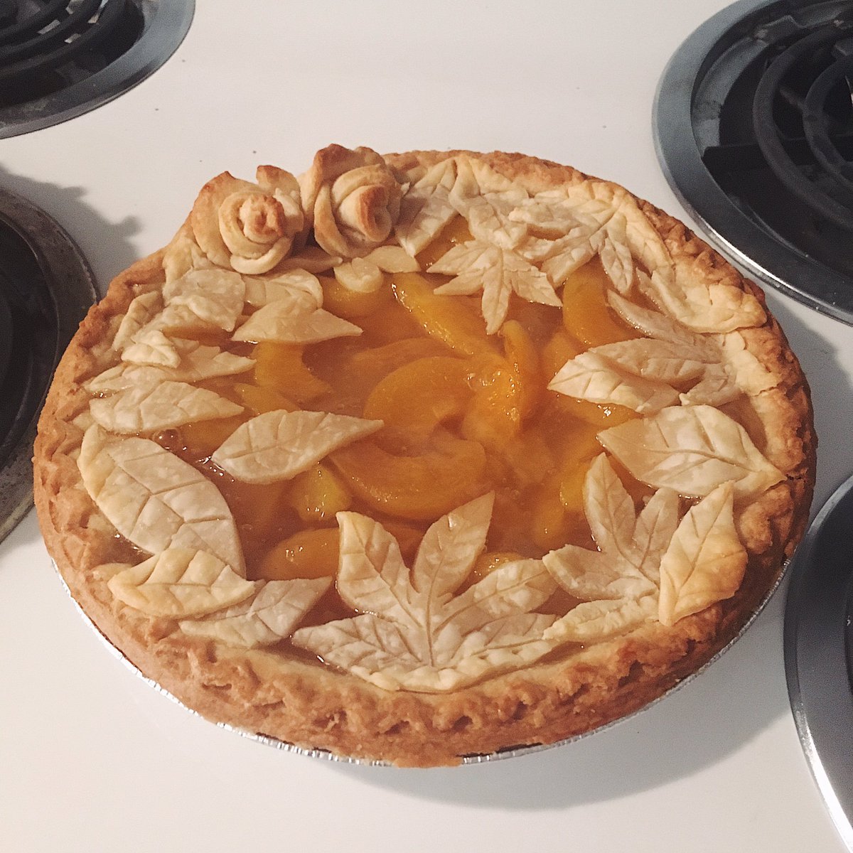 TinyAphrodit3's tweet photo. π₯§My Fall inspired Peach and Apple pies β¨
#pie #applepie #peachpie #pastry #roses #fall #fallpie #autumn #halloween #pumpkins #ddlg #piedesigns https://t.co/KRGaRiAYsc