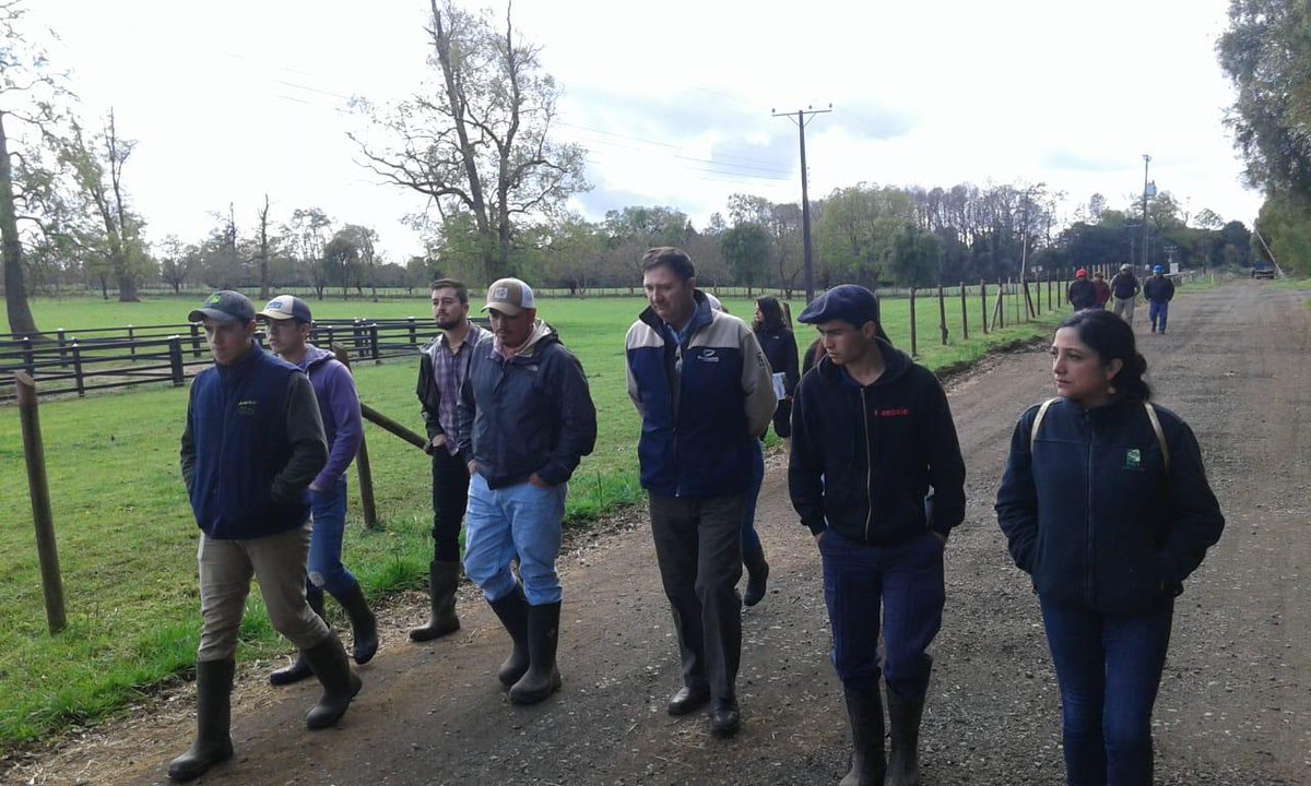 MinagriAysen's tweet photo. #Purranque jóvenes profesionales y productores de la región se capacitan en #INIALAPAMPA de @inia_remehue  conociendo sistemas de pastoreo y manejo de #GanadoAngus #DesarrolloRuralAysén #ChileEnMarcha 😃💚👍🇨🇱 https://t.co/eOcGHGUvK0