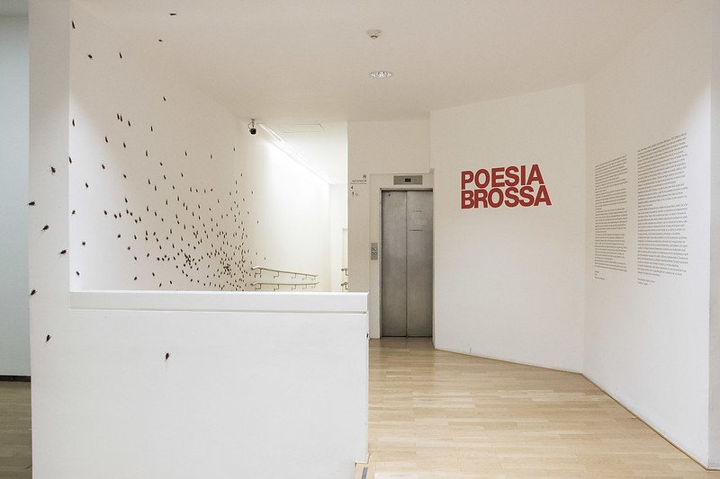 BellasArtesAR's tweet photo. Los esperamos mañana a las 19 para la doble inauguración en el Museo de las muestras dedicadas al artista argentino César Paternosto y al poeta catalán Joan Brossa (1919-1998), que se exhibirán en las salas del primer piso. Entrada gratuita. https://t.co/SYaAG84Gnq