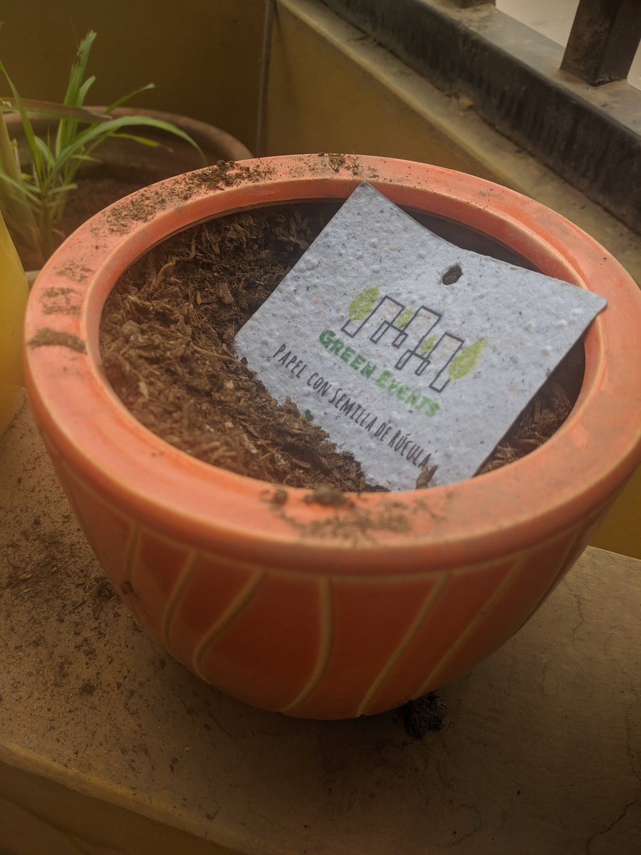 As one one of the many eco-friendly initiatives in <a href="/DevFestSantiago/">DevFest Santiago</a> , we received badges with actual seeds!

Already planted mine, let's see how it goes 👀