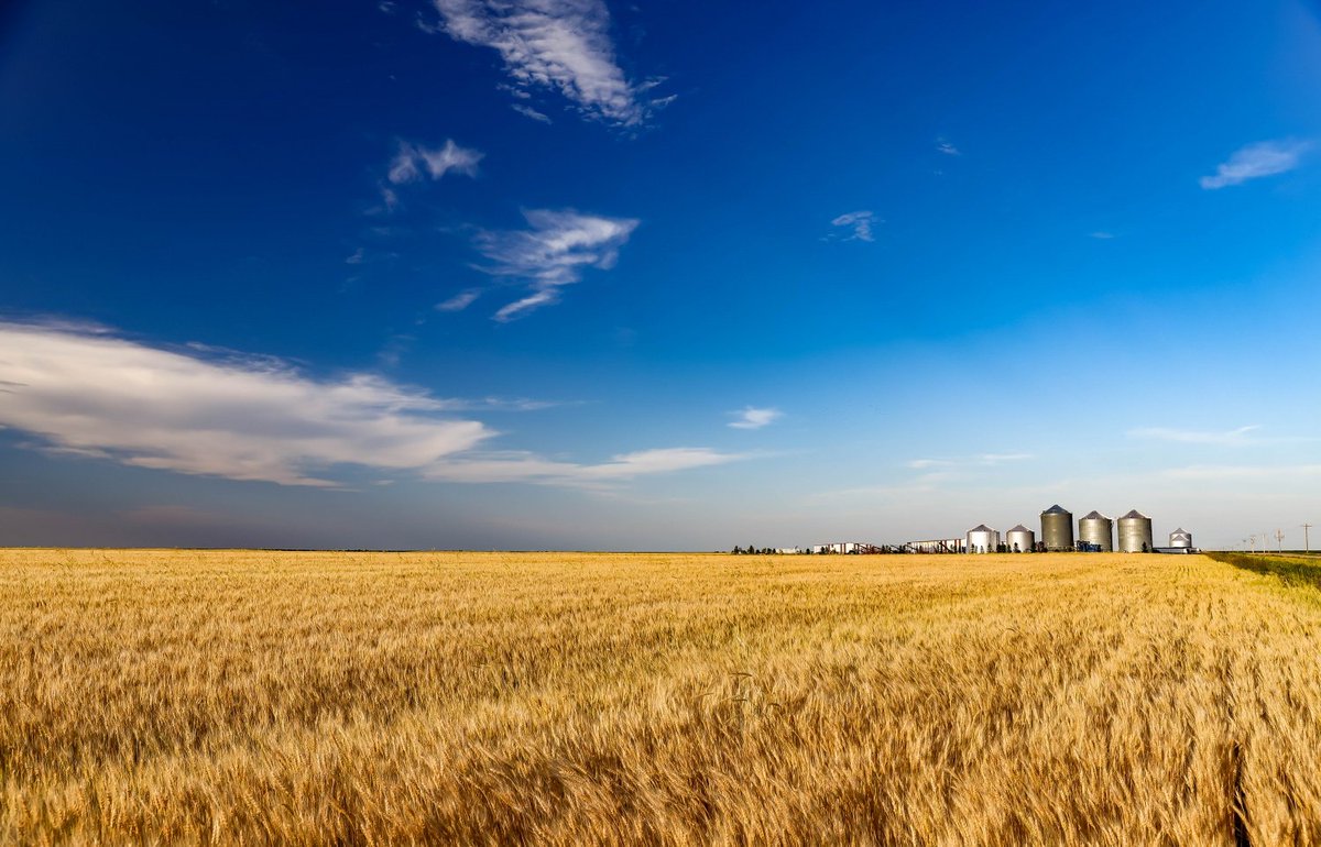 farmandranchpub's tweet photo. #ShowcaseProperty #FeaturedProperty #MidwestMondays
Large Scale Farming Operation - 8,480 Acres
Grant, NE
https://t.co/ldv1Xu9AmV
#farmandranch #farm #acreage #agriculture https://t.co/5yiEWDGFhe