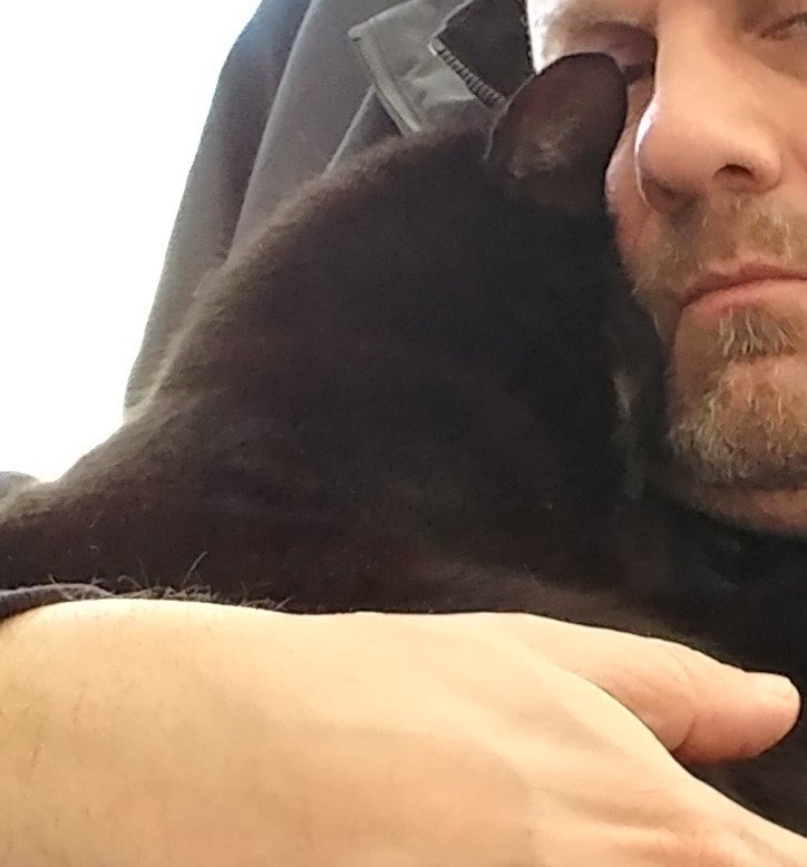 sidewaysboycat's tweet photo. Love this guy! https://t.co/aMDb92acrd