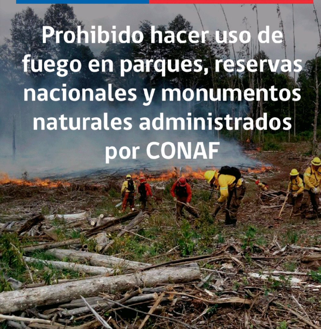 jmrebolledo's tweet photo. Ayúdanos a prevenir la ocurrencia de #IncendiosForestales. Durante los días de altas temperaturas, ten en cuenta las siguientes recomendaciones de 
@conaf_minagri https://t.co/D2famttJ9Y