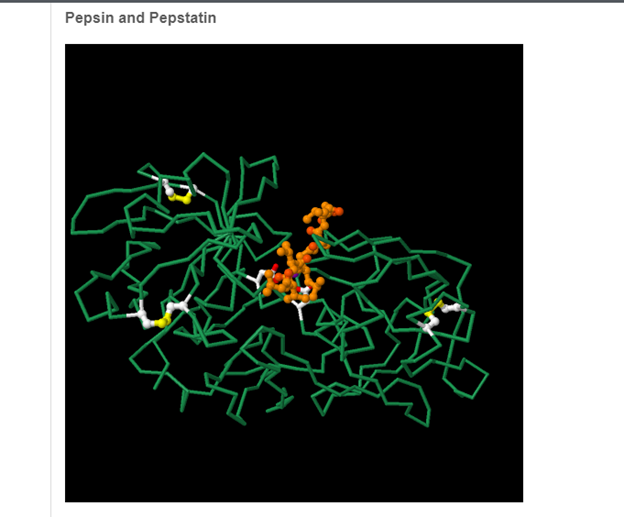 pseudon74347343's tweet photo. The enzymes that I studied are peptin and pepstatin. Pepsin uses a pair of aspartate residues to perform the protein cleavage reaction, shown here with red oxygen atoms. 
#prescottchem https://t.co/G7wGP7Q6j8
