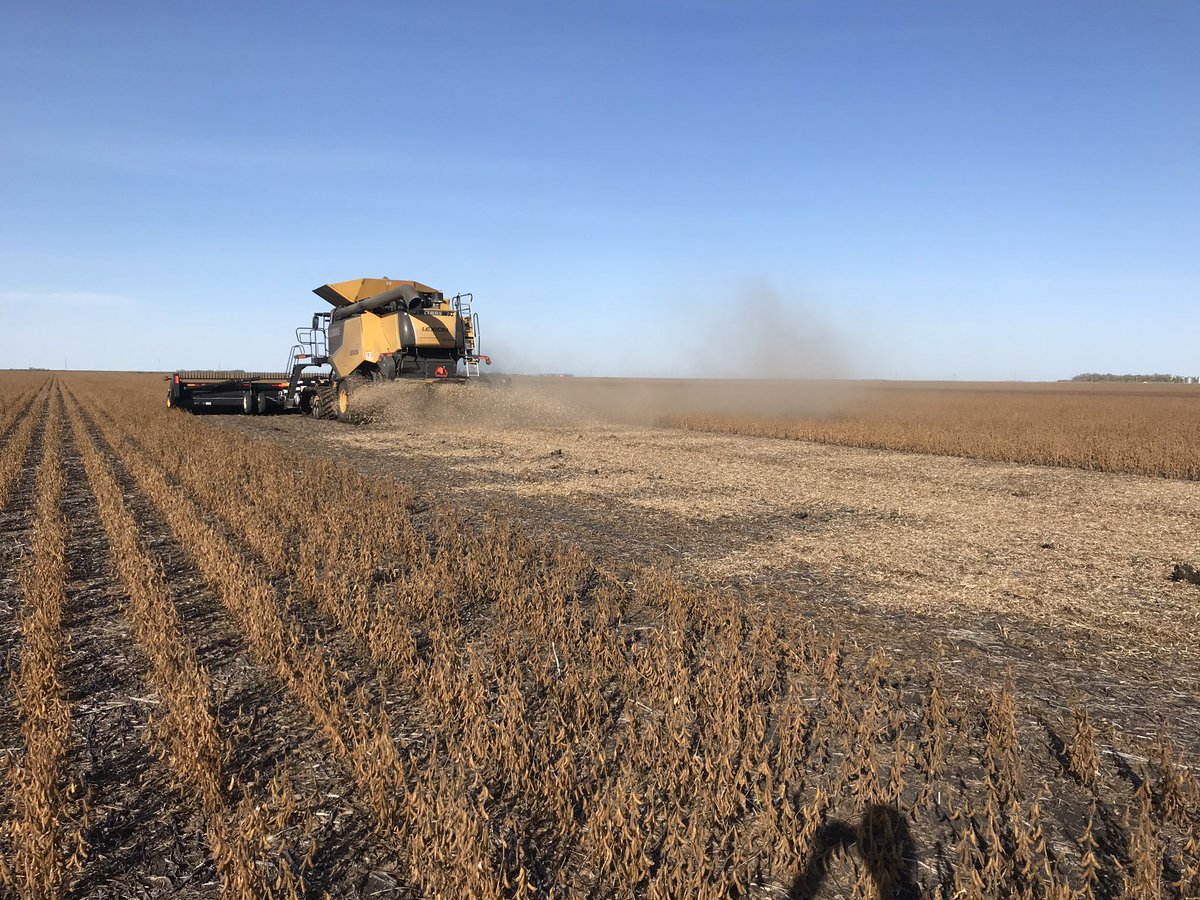 karsboekhorst's tweet photo. Got beans to smash no time for taking samples. #mud19 https://t.co/8g4KOKdQn0