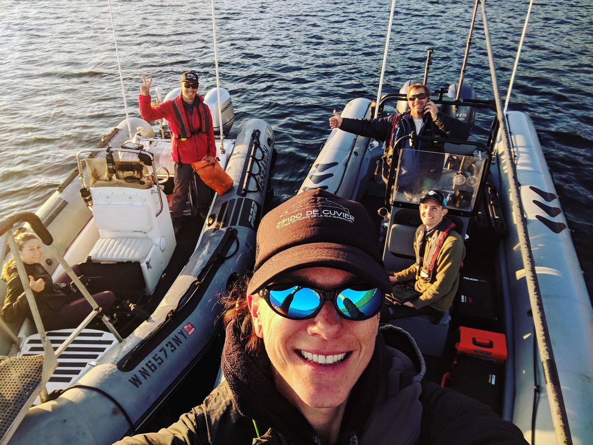 MarEcoTel is back down in Southern California conducting fieldwork with M3R funded by Living Marine Resources, Fleet, and the Office of Naval Research. #research #conservation #whales #California
