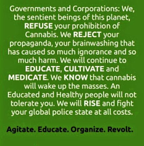 Lisa19576's tweet photo. #StonerFam #CannabisCommunity
A REQUEST TO ALL OF YOU FROM @Tokyolincoln420
..... DON'T EVER STOP FIGHTING FOR OUR RIGHTS TO GROW, SMOKE & MEDICATE WITH CANNABIS
#WeAreCannabis #420Life #FuckCancer #KeepSmiling7
#OneLove #DoItLikeItsLegal #FuckTheGovernment https://t.co/tlUq3fegzI