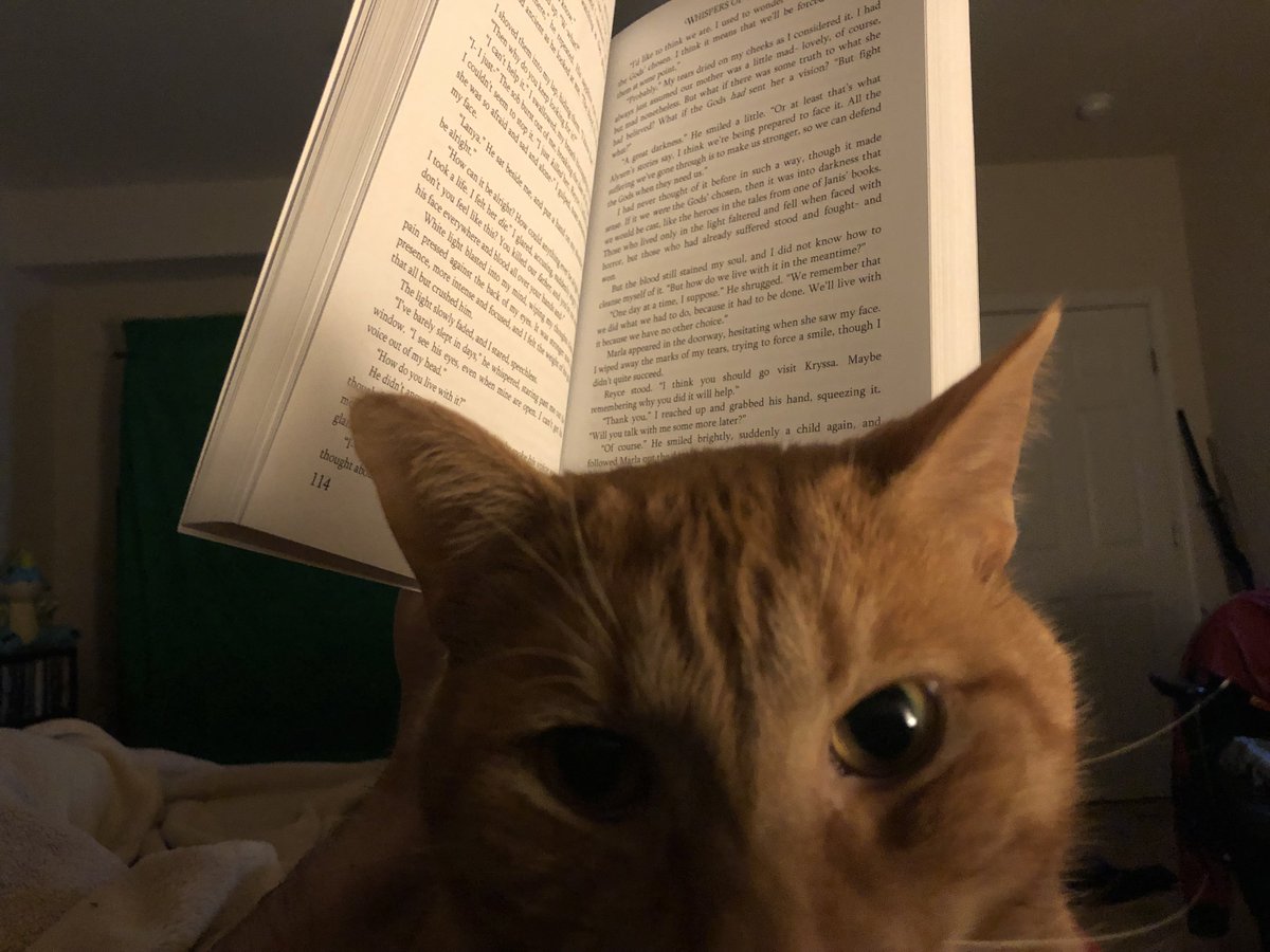 KrimsonRogue on Twitter "What I see when I'm trying to read at night
