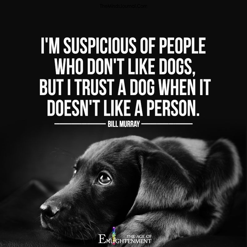 RachoNovo's tweet photo. @BannisterKeely Defo, this quote springs to mind #TheCircle https://t.co/eWVy4yJMbm