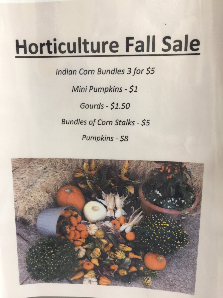 Amory”s Horticulture Classes are selling various pumpkins, gourds, and Indian corn. Please support your local students and their efforts.