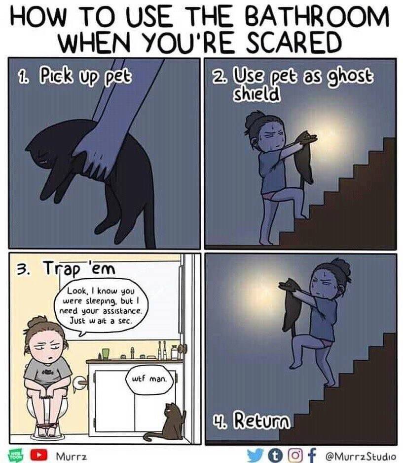kitakillz's tweet photo. If this isn’t the truth #petshield #petsoftwitter https://t.co/ygSY9WPmN5