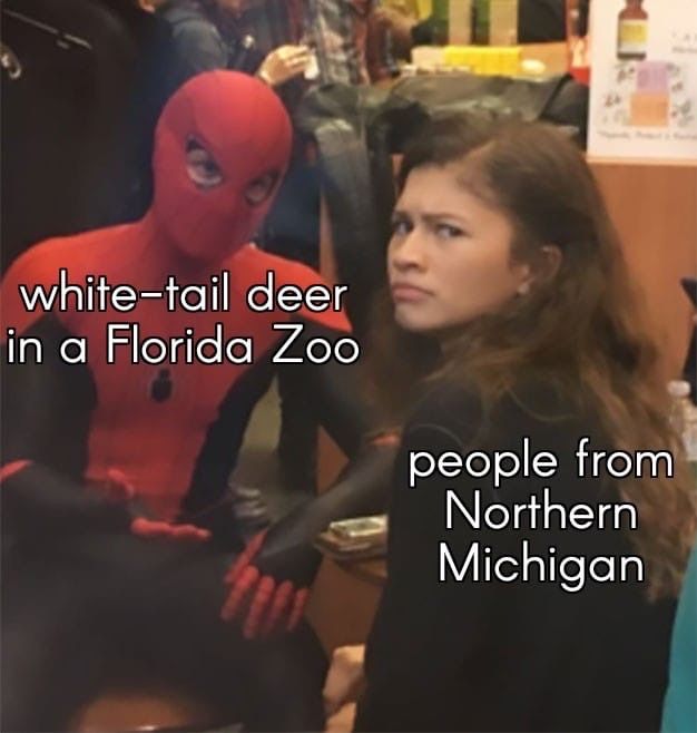 MichiganBests's tweet photo. Relatable https://t.co/TRb0n5VAP1