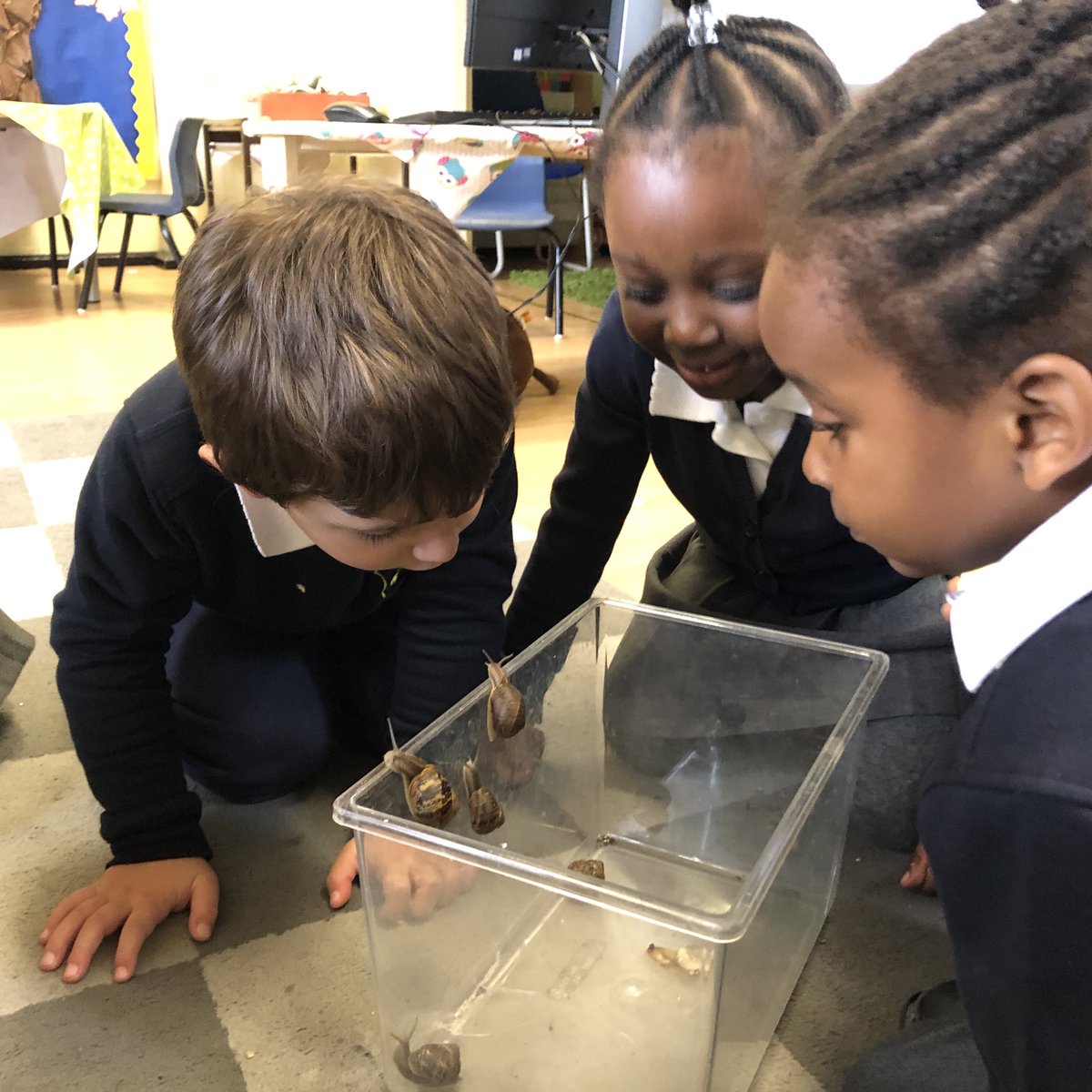 Wyvil Primary School tweet media