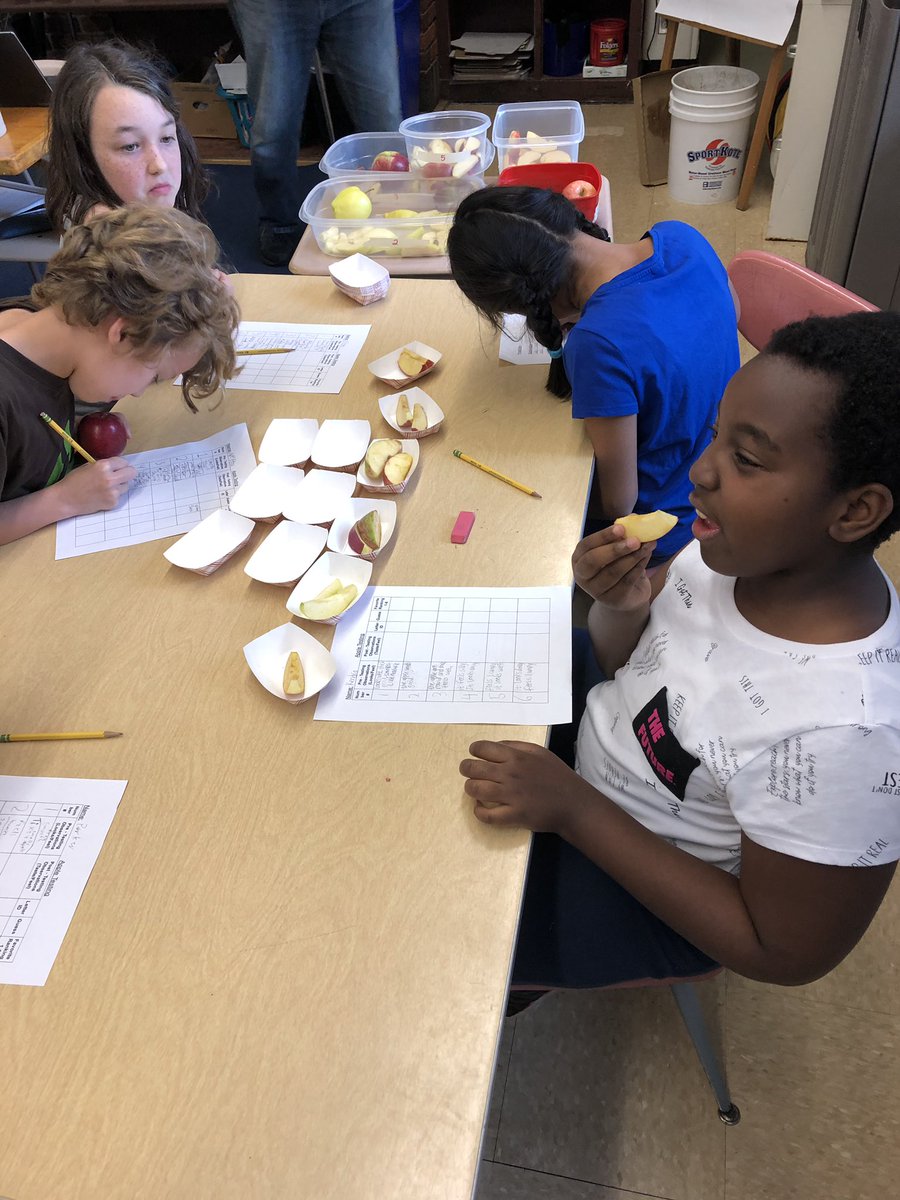 MrjVolpe's tweet photo. How do you like them apples? Using some of New York’s finest and our sight, smell, feel &amp; TASTE to practice our observation and descriptive word skills. #4thgrade #apples #science #observation #descriptivewords #GrowNY #NYApples #agriculture https://t.co/fPa3RRpcp8