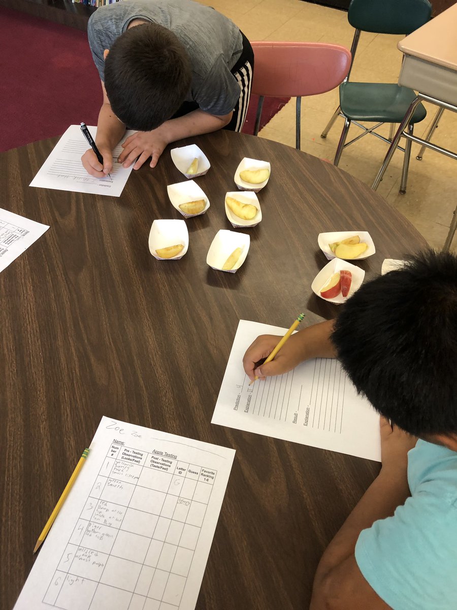 MrjVolpe's tweet photo. How do you like them apples? Using some of New York’s finest and our sight, smell, feel &amp; TASTE to practice our observation and descriptive word skills. #4thgrade #apples #science #observation #descriptivewords #GrowNY #NYApples #agriculture https://t.co/fPa3RRpcp8