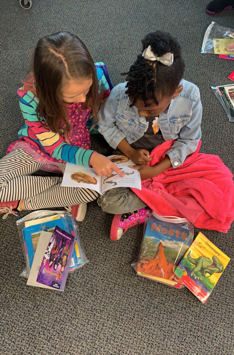 PicconeDanielle's tweet image. We love partner reading in 2nd grade! @WestRidgeGreece  @PettiferSuz @JulieParsons203 @GreeceCentral
