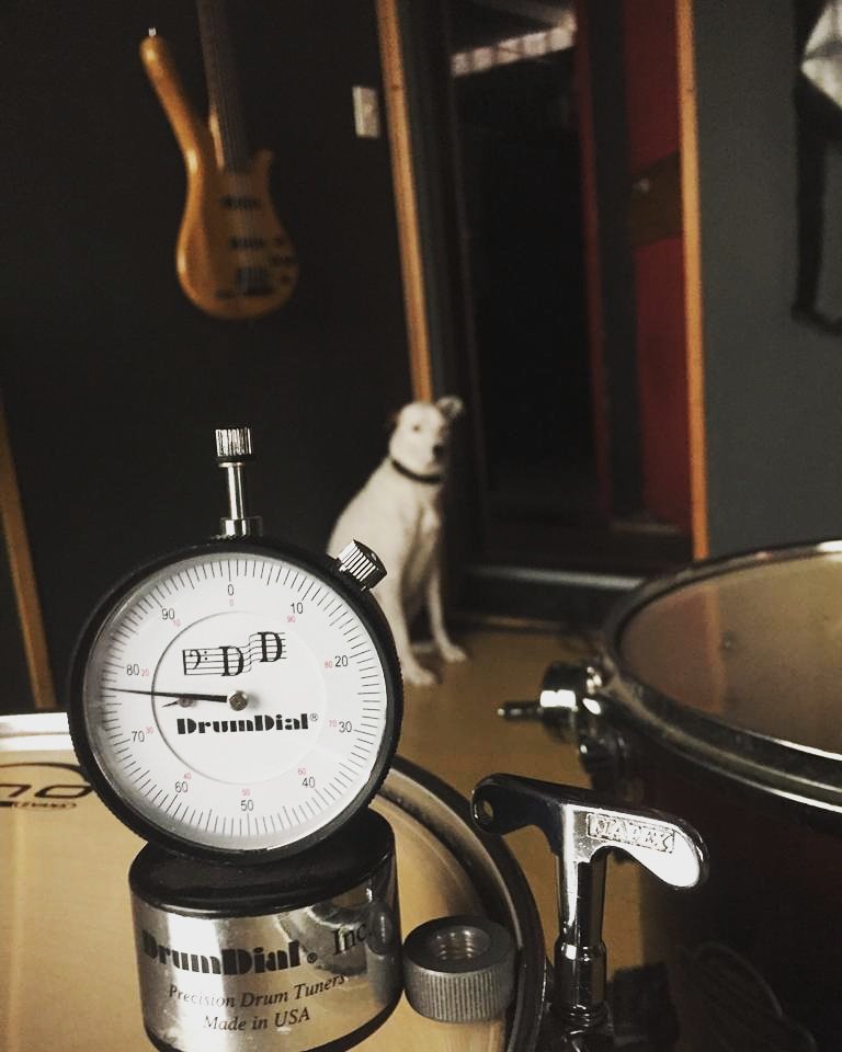 studio_pub's tweet photo. Afinando a batera pra mais um dia de gravina! 🔴🎛🥁 #playRec #ModeOn #recording #drums #DrumDay #vibracaosol #drumdial #afinadoranalógico #petfriendlyspot #Studiopub #aquiosomnãopara https://t.co/byIkOZRqLO