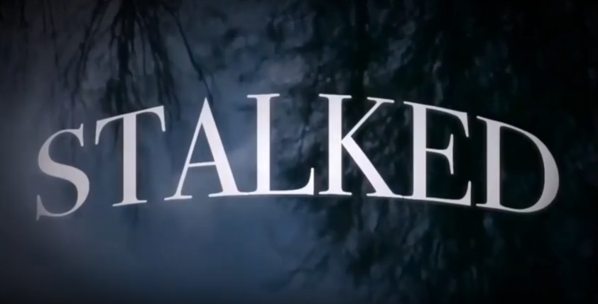 bit.ly/2Vl9Ajr <-- My review of season two of the webseries Stalked, from @ProductiesJh. Find out if anyone lives happily ever after.