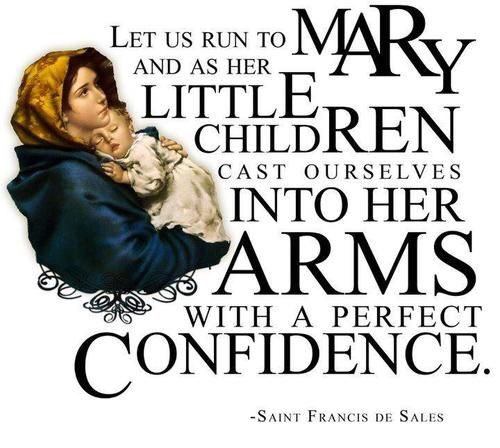 1romancatholic's tweet photo. ...little Jesus did...
#StQuotes #Catholic #StFrancisdeSales https://t.co/b97fFzClO0