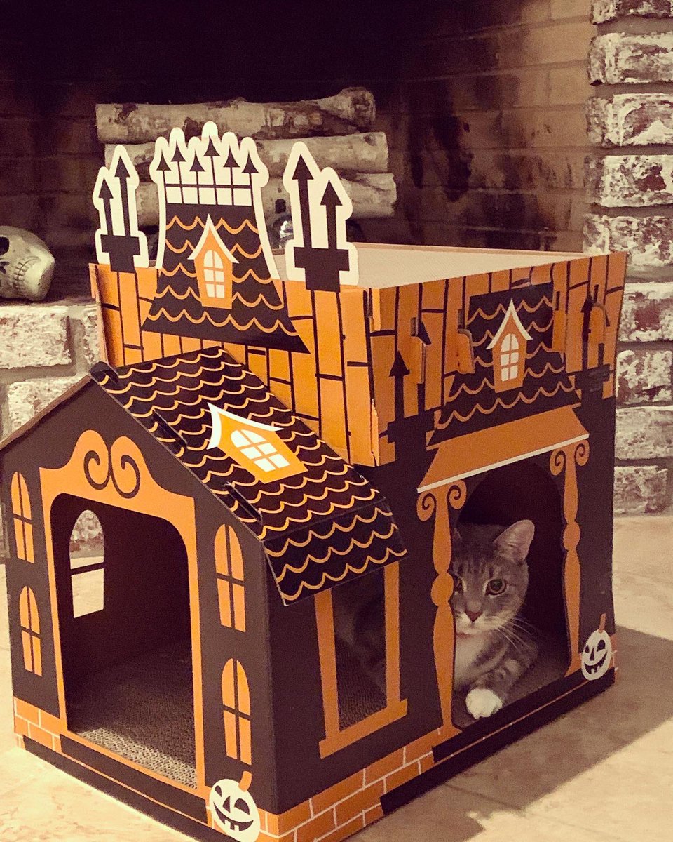 🎃👻🎃 <a href="/Target/">Target</a>