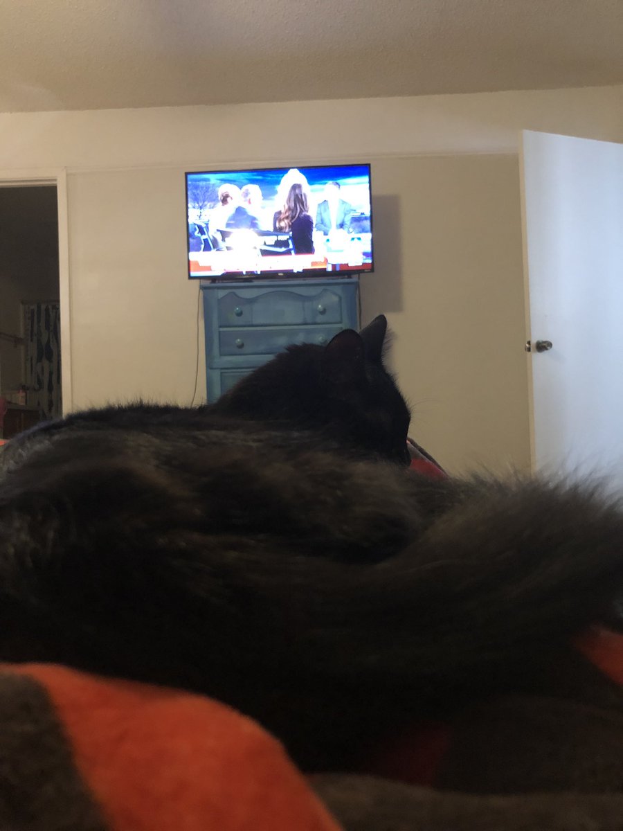 holli's tweet photo. The level of jealousy in this bed is insane. #lapwars https://t.co/S437DkOg0z