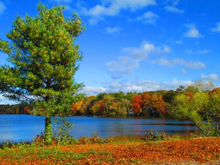 Loving #foliage in #Pembroke #Massachusetts #Autumn #Fall2019 #fallvibes #landscape #naturelovers #dailyphoto #ThePhotoHour #NatureNow #trees #colorful #naturalmassachusetts #RetweeetPlease 🍁😎🍂