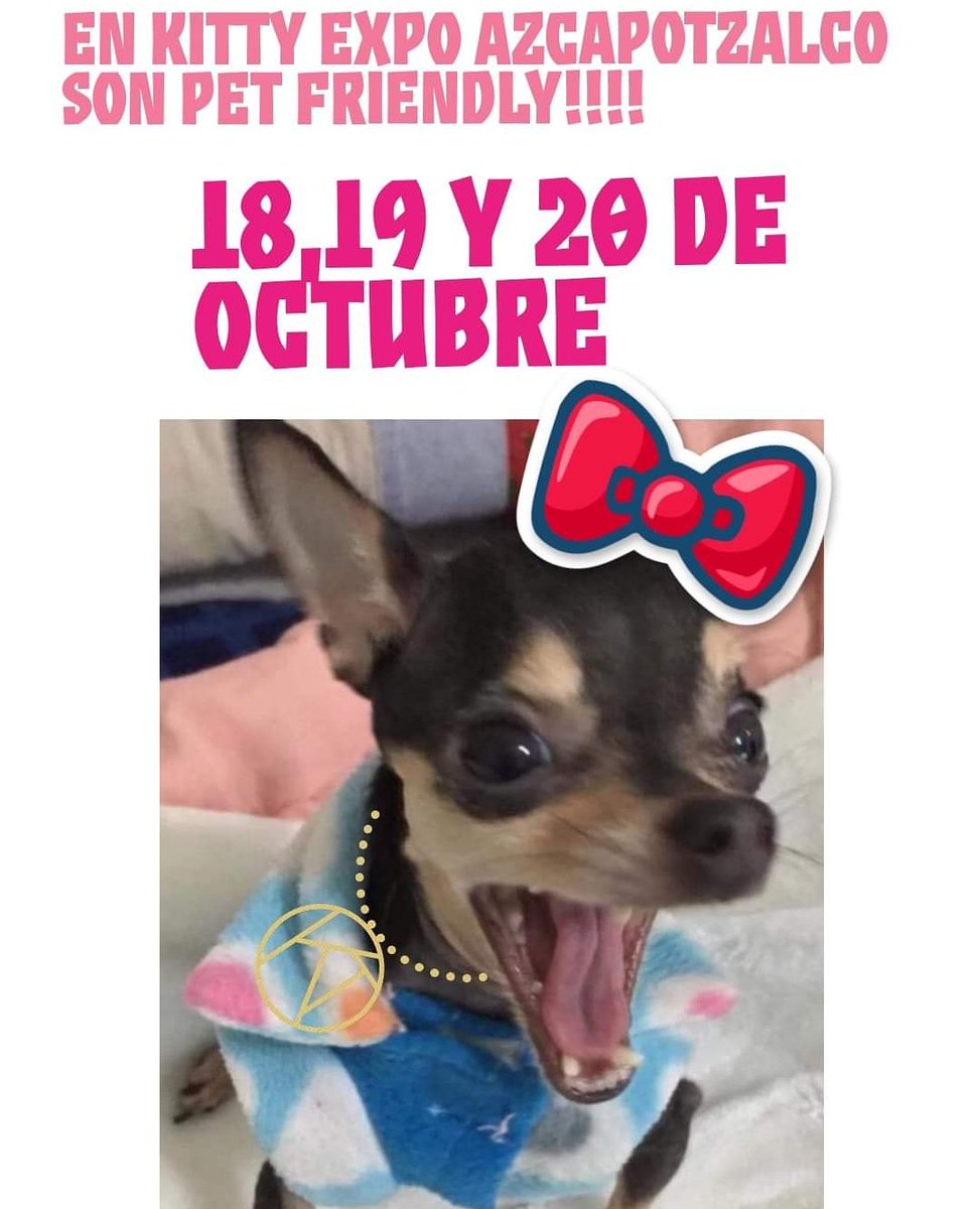 Kitty_Expo's tweet photo. #HELLOKITTYFUNRUN ENCUENTRALO EN KITTY EXPO AZCAPOTZALCO!! 18, 19 y 20 de OCTUBRE TE ESPERAMOS EN AV DE LAS GRANJAS 204 ESQ CON RABAÚL ALCALDIA DE AZCAPOTZALCO
#ENTRADALIBRE
#KITTYLOVERS
#HELLOKITTYLOVERS #KittyExpo #HelloKitty #kawaii #HelloFan #HelloKittyyYo #hellokittylovers https://t.co/WgmXl7rtSz